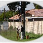 Annual Owl Box Service - EcoSolutions - Shop Now | South Africa