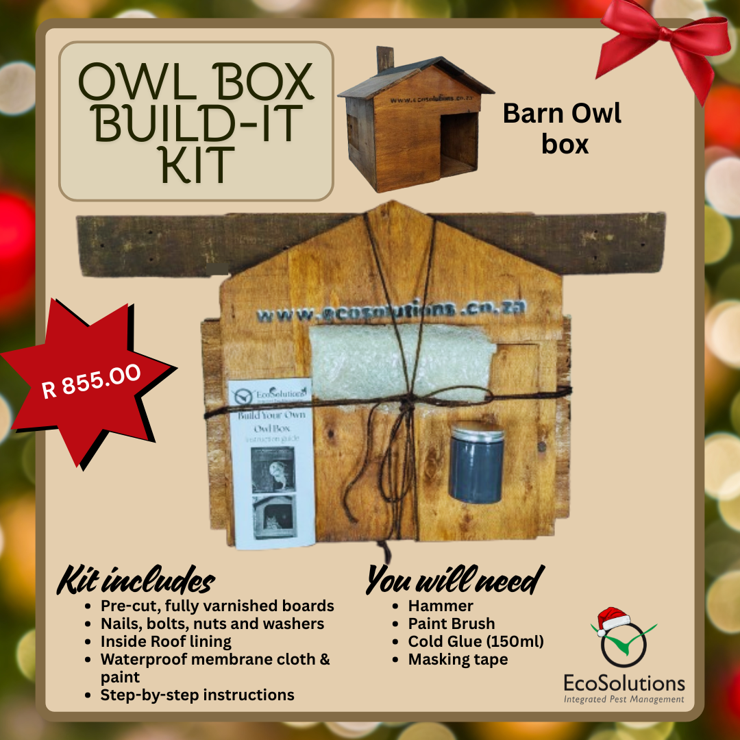 Owl Box Build-It Kit: DIY Owl Home