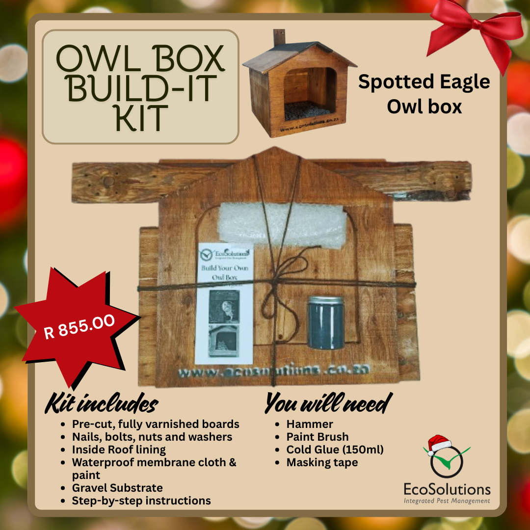 Owl Box Build-It Kit: DIY Owl Home