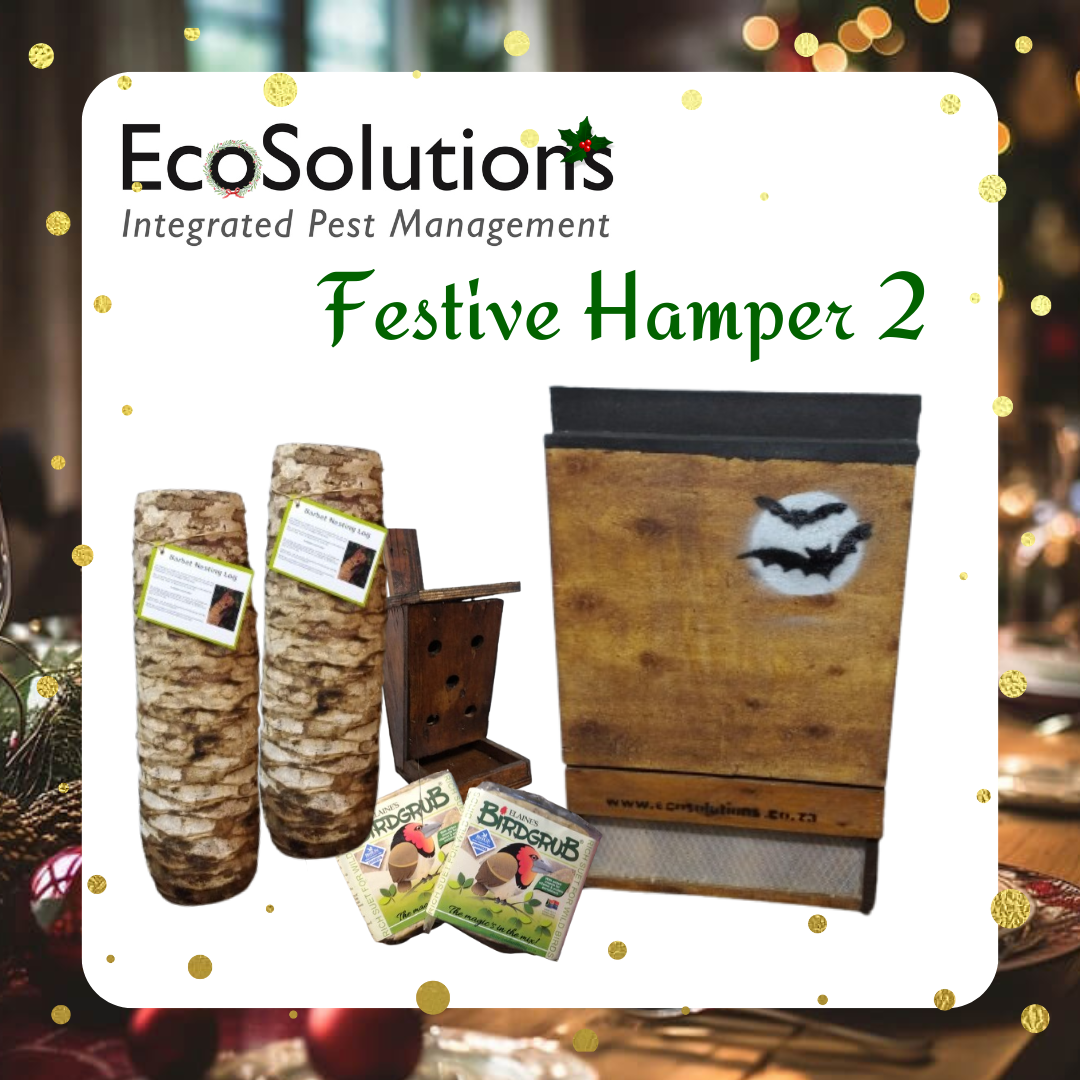 Hamper 2