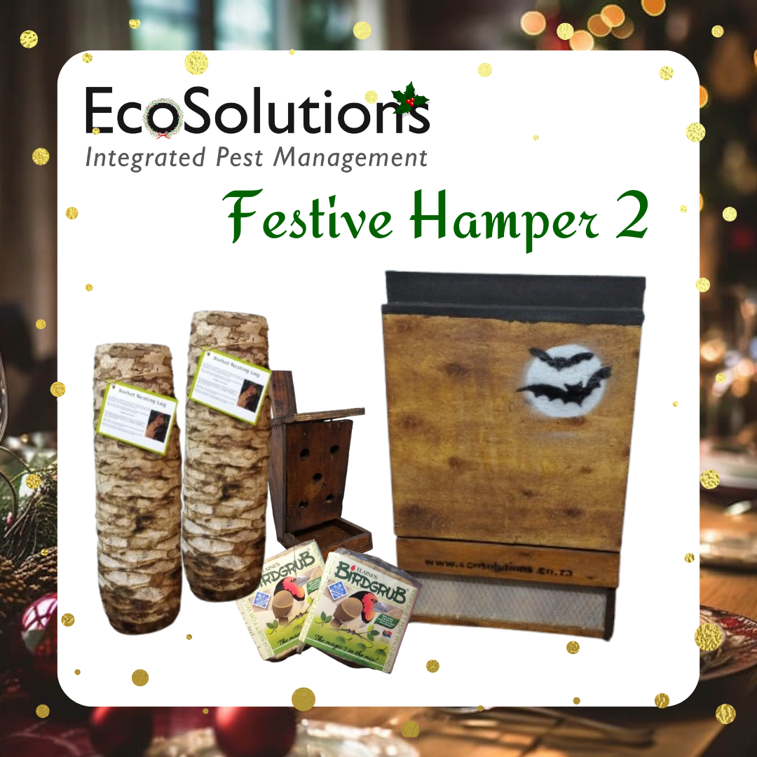 Hamper 2 - EcoSolutions | Shop online now - South Africa