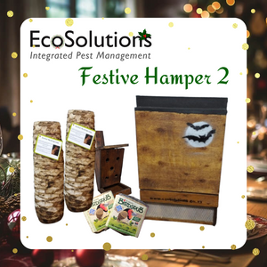 Hamper 2