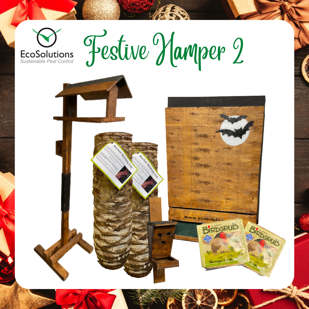 Hamper 2 - EcoSolutions | Shop online now - South Africa