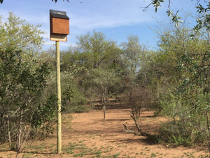 Nursery Bat Hotel - EcoSolutions - Shop Now | South Africa